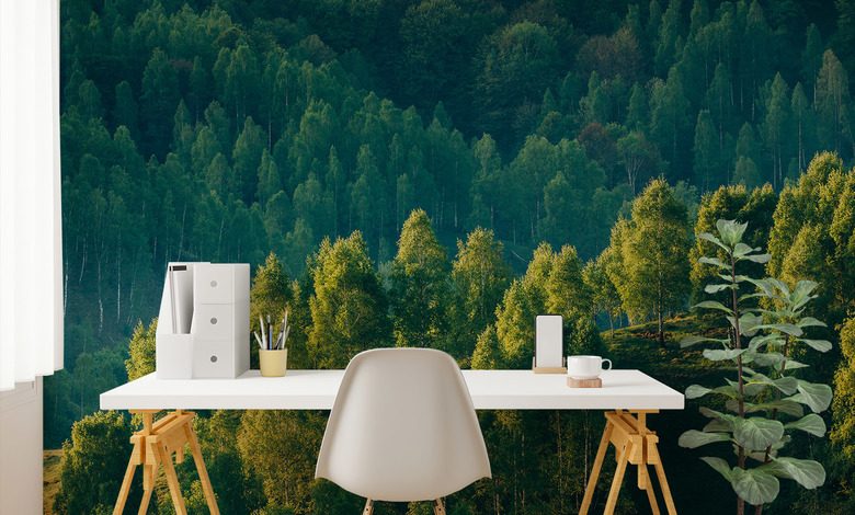 erdo melye fak kilatasaval fototapeta taj fototapeta demural