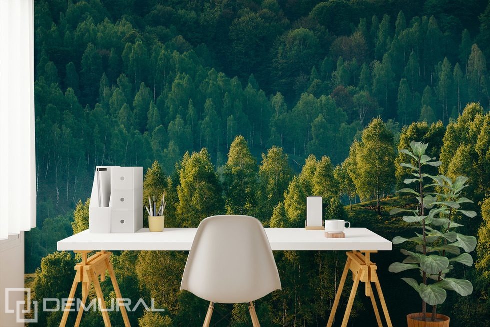 Erdő mélye fák kilátásával Fotótapéta Táj Fotótapéta Demural