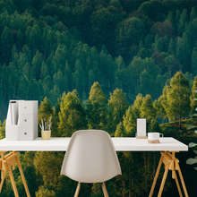 Erdo-melye-fak-kilatasaval-fototapeta-taj-fototapeta-demural