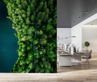 erdei osveny a viz menten madartavlatbol fototapeta az irodaba fototapeta demural