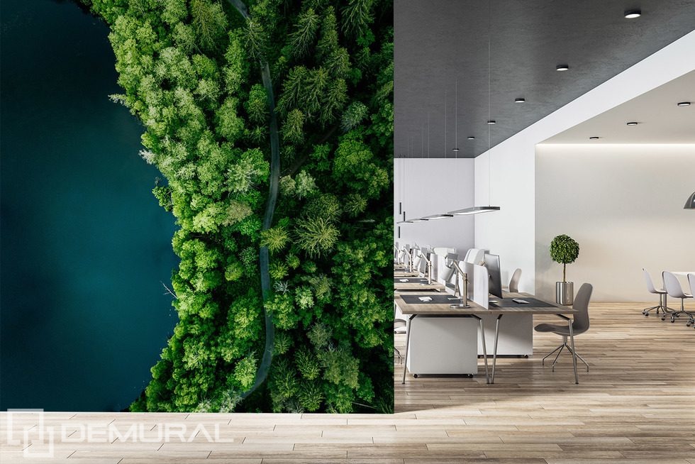 Erdei ösvény a víz mentén madártávlatból Fotótapéta az irodába Fotótapéta Demural