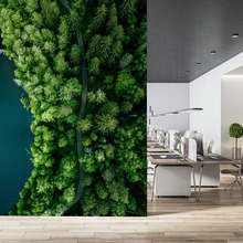 Erdei-osveny-a-viz-menten-madartavlatbol-fototapeta-az-irodaba-fototapeta-demural