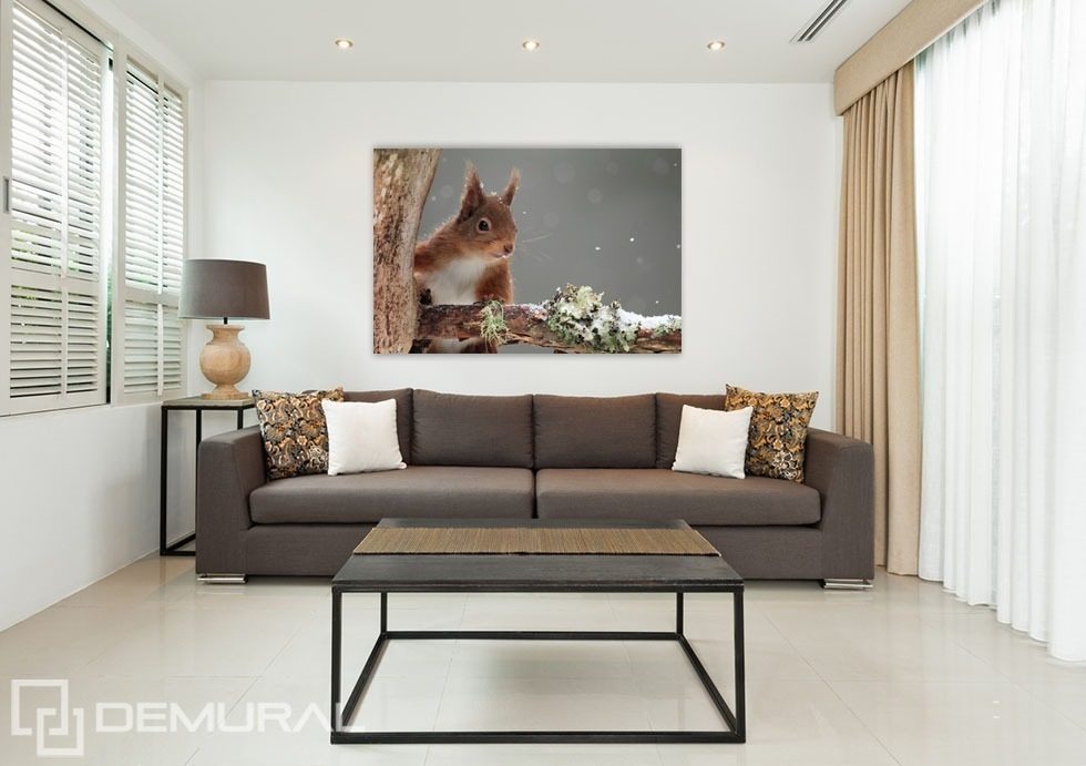 Egy szép mókus Plakátok a nappali Plakátok Demural