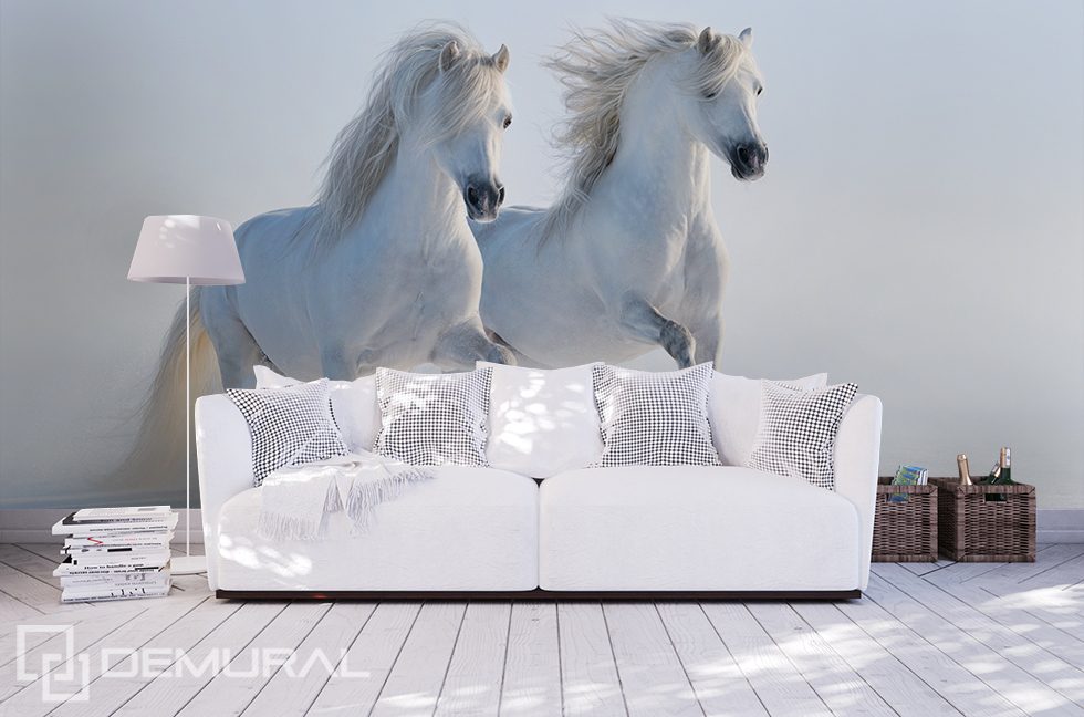 Fehér lovak Fotótapéta Háziállatok Fotótapéta Demural
