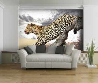 gepard ugras fototapeta haziallatok fototapeta demural
