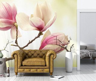 magnolia magasabb szintu finomsag fototapeta viragok fototapeta demural