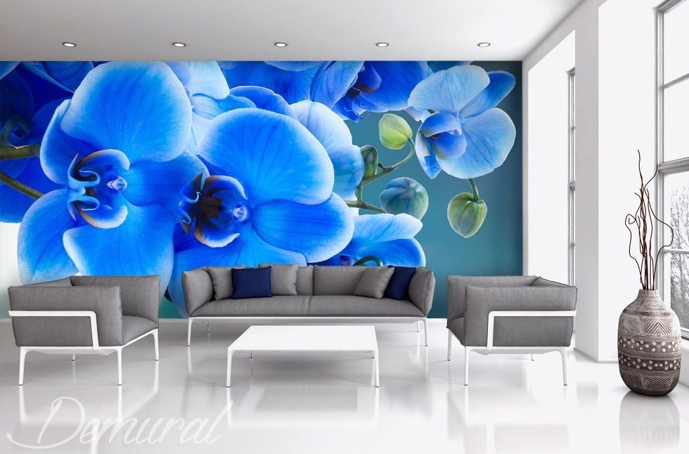 Azzurro, azaz kék Fotótapéta Virágok Fotótapéta Demural