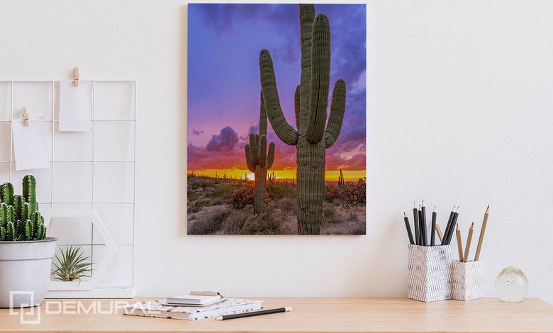 naplemente a kaktusz volgy folott vaszonkepek az irodahoz vaszonkep demural