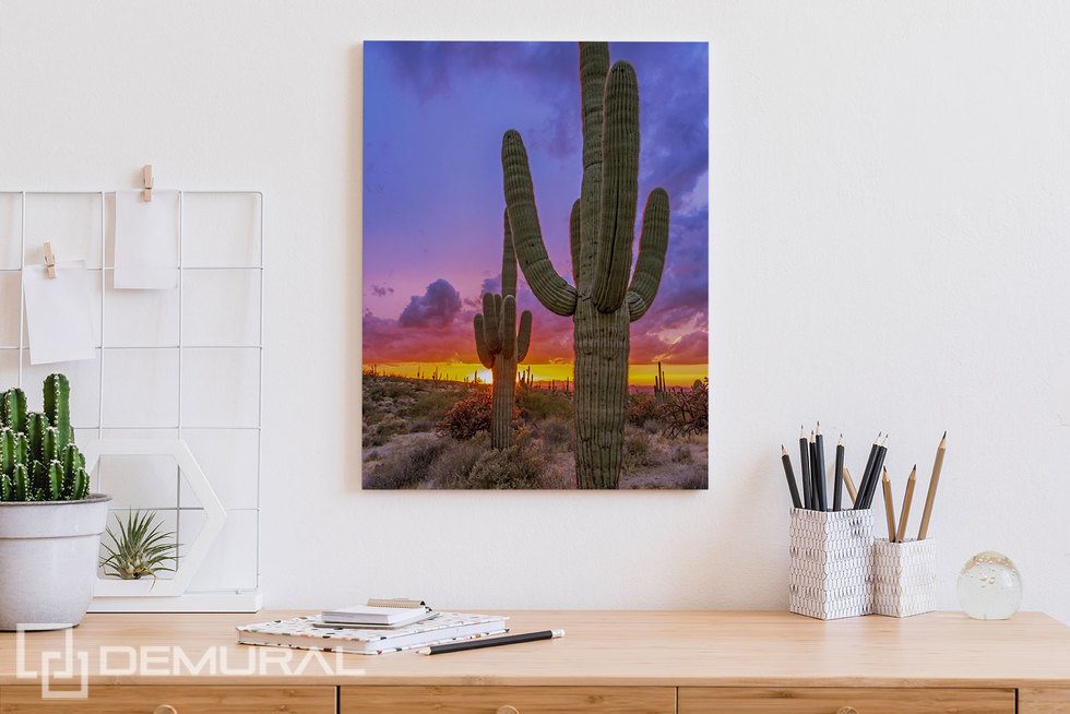 Naplemente a kaktusz-völgy fölött Vászonképek az irodához Vászonkép Demural